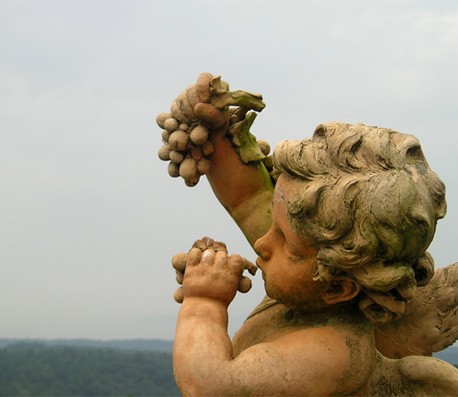 一键性能优化的短信轰炸网页版