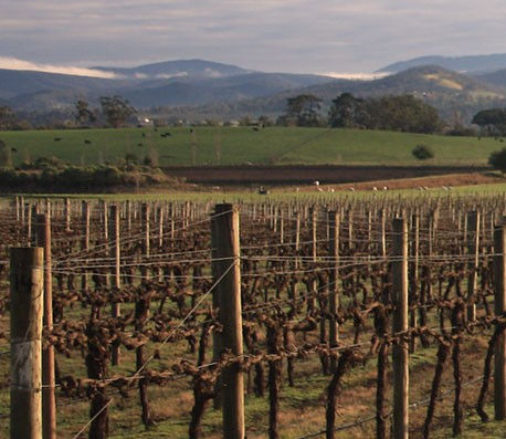 自动拨号软件连续呼叫